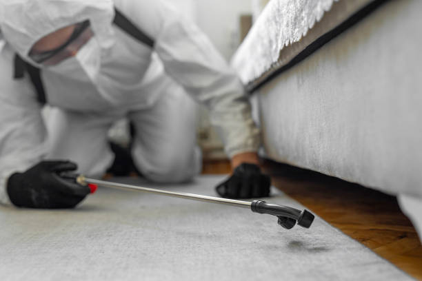 Professional Termite Control technician working in Rainbow Park, FL