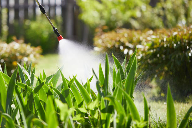 24/7 Emergency Termite Control experts in Rainbow Park, FL