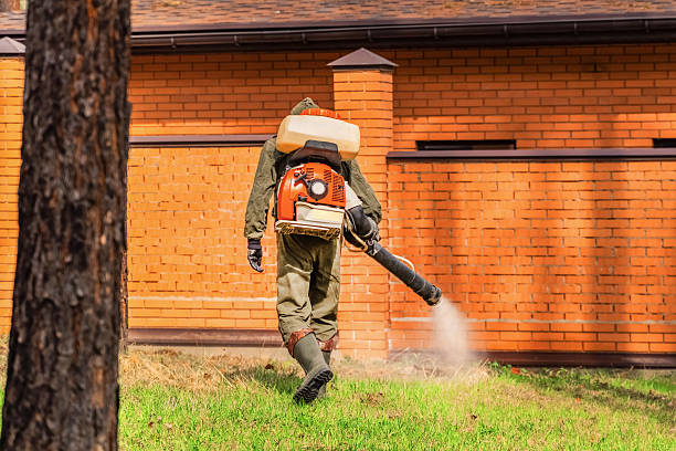 Top rated local Termite Control specialists in Rainbow Park, FL